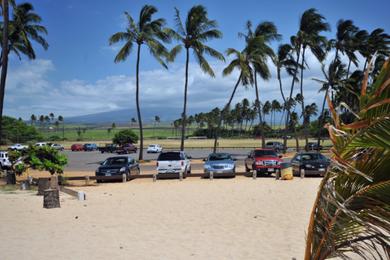 Sandee - Baldwin Beach Park