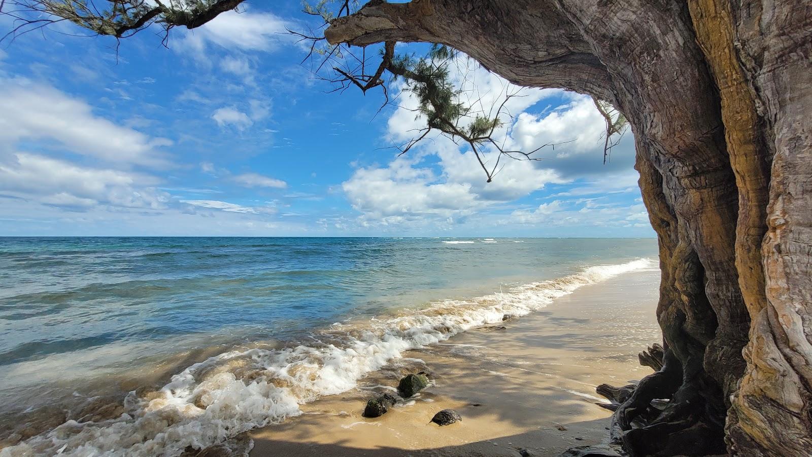 Sandee - Hauula Beach