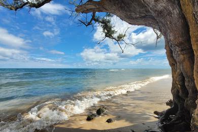 Sandee - Hauula Beach