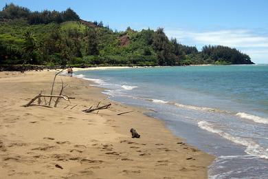 Sandee - Waioli Beach Park