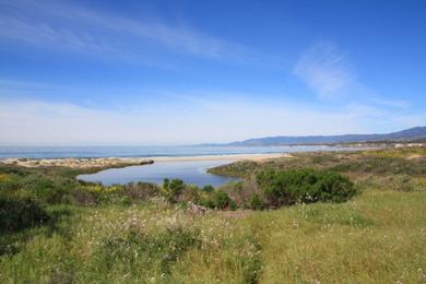 Sandee - Sands Beach