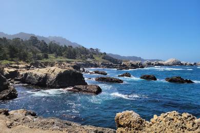 Sandee - Point Lobos State Natural Reserve - Weston Beach