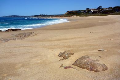 Sandee - Carmel River State Beach