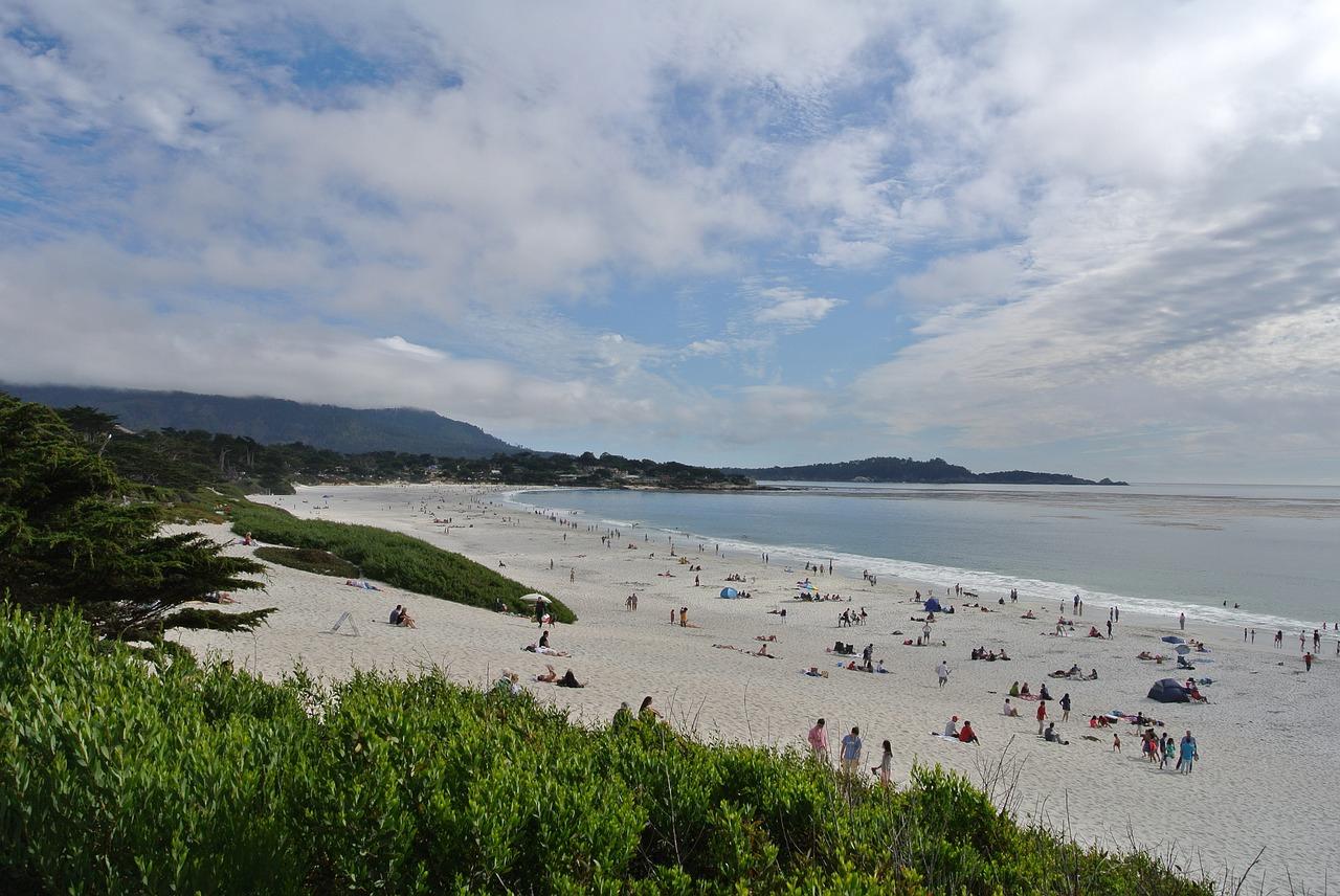 Sandee - Carmel River State Beach