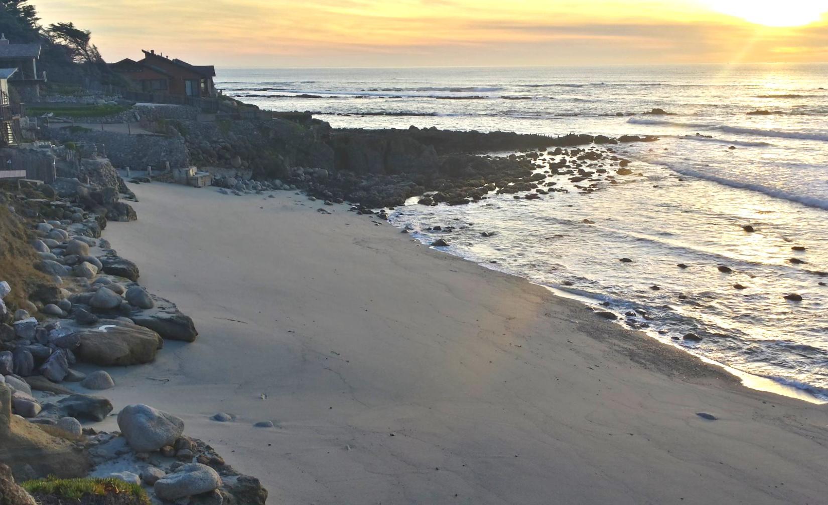 Sandee - James V. Fitzgerald Marine Reserve Beach