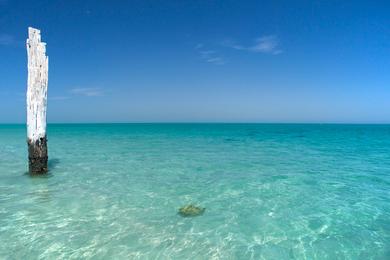 Sandee - Maud's Landing Beach