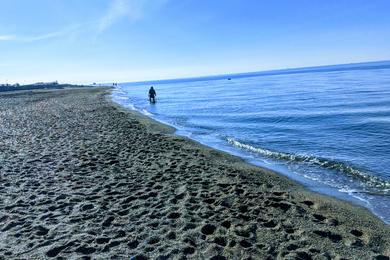 Sandee - Marina Di Cerveteri