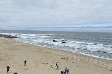 Sandee - Three Rocks Beach