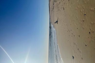 Sandee - Crystal Cove State Beach