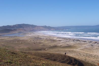 Sandee Arauco Beach