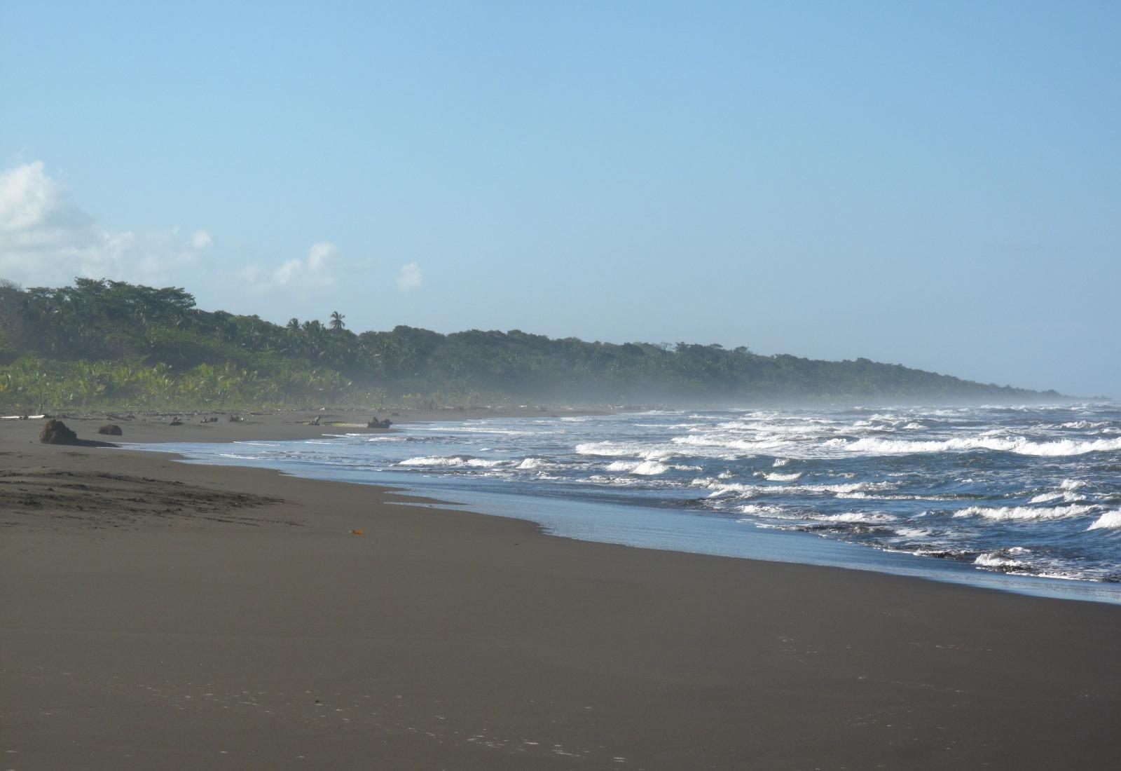 Sandee - Playa Paso Caballos