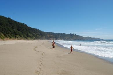 Sandee Blanca Beach - Coliumo Photo