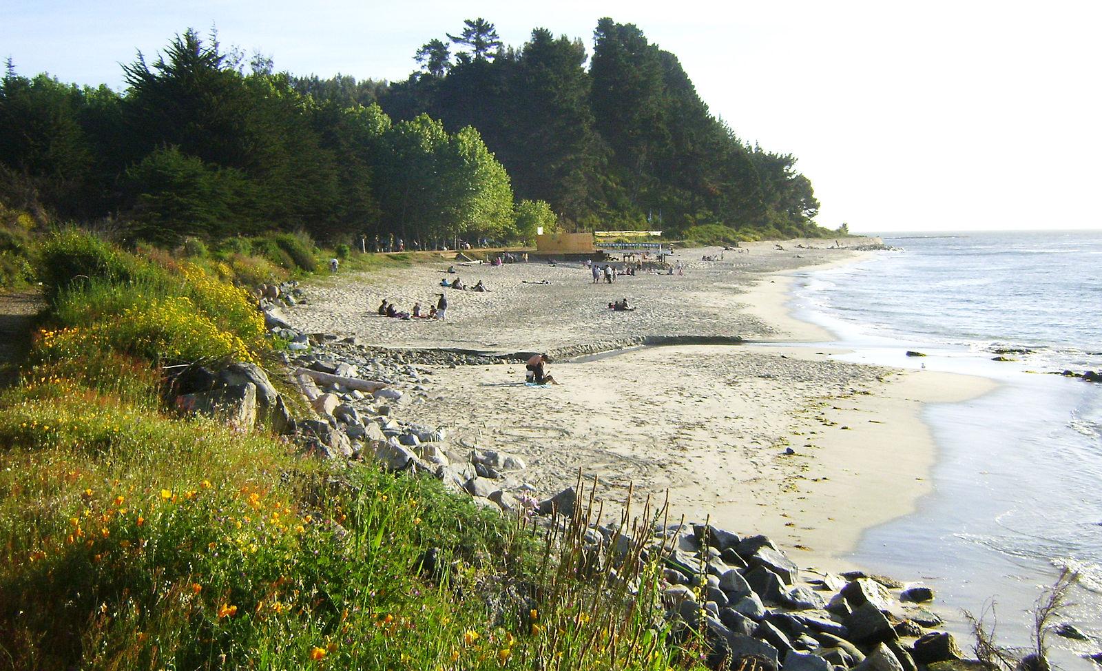 Sandee - Punta De Parra Beach