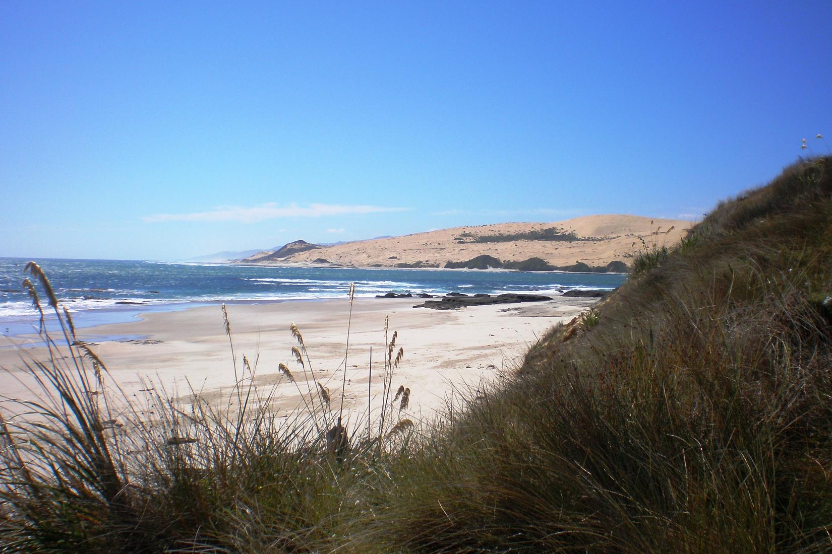 Sandee - HomePage / Kaikohe Hokianga Community