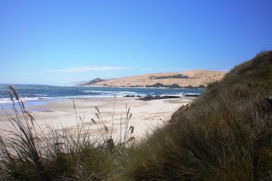 Sandee - Country / Kaikohe Hokianga Community