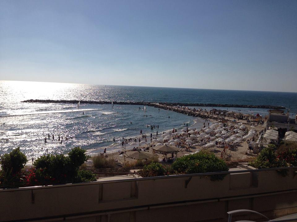 Sandee - Hilton Beach Tel-Aviv