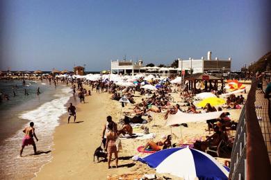 Sandee - Hilton Beach Tel-Aviv