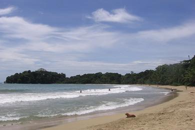 Sandee Playa Uvita Photo