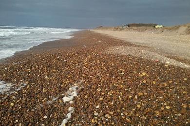 Sandee Plage El-Haouzia