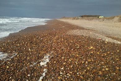 Sandee Plage El-Haouzia Photo