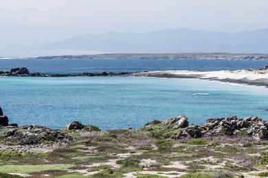 Sandee Damas Island