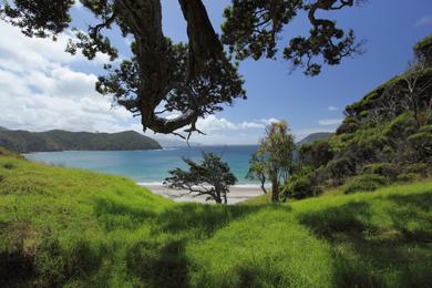 Sandee - Haratonga Bay Beach