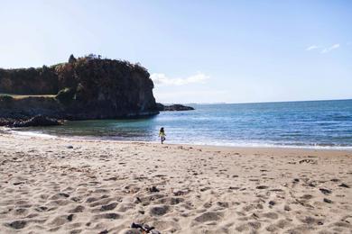 Sandee Arena Gruesa Beach