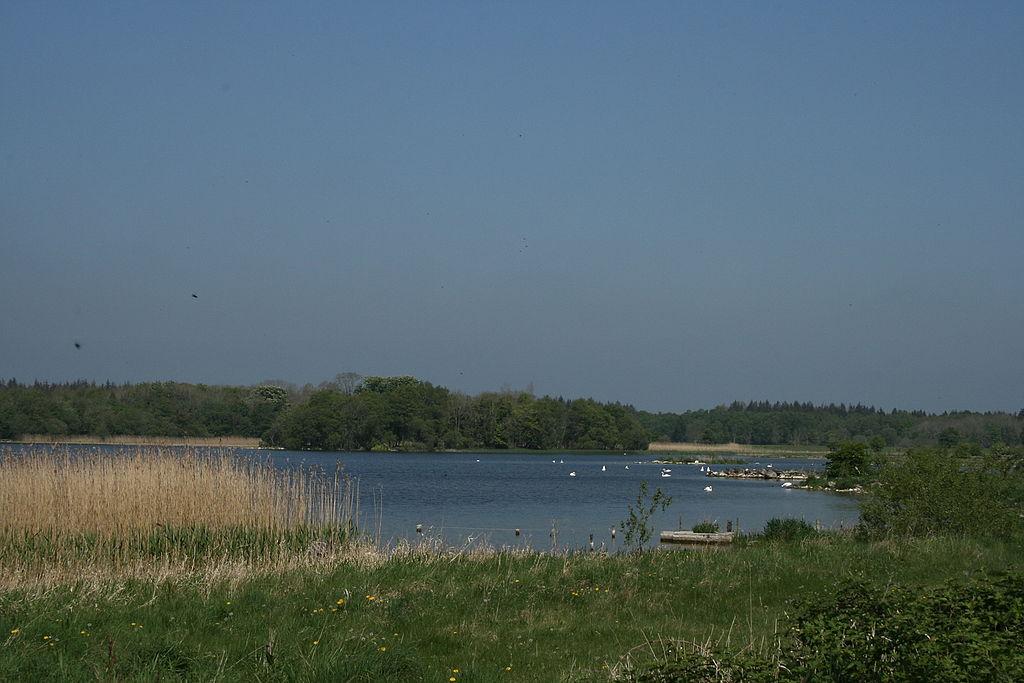 Lough Ennel Photo - Sandee