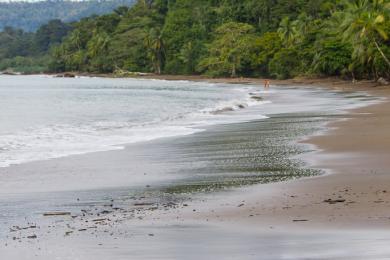 Sandee Playa Corcovado