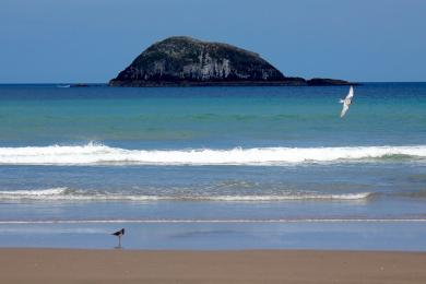 Sandee - Maori Bay Beach