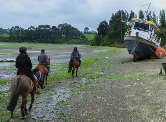 Chiloe Island Photo - Sandee