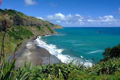 Sandee - Maori Bay Beach