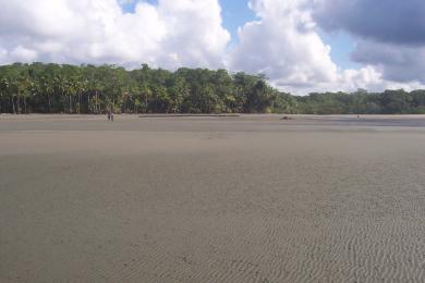 Sandee Playa La Llorona