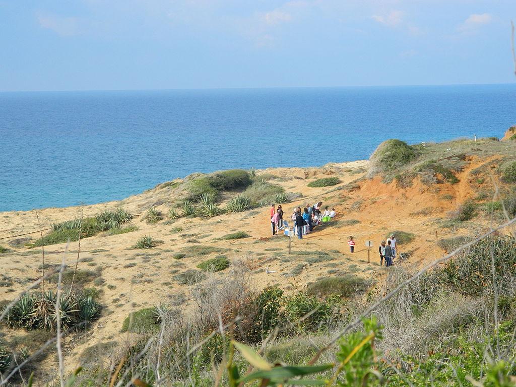 Sandee - Shefayim Beach