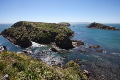 Sandee Islotes De Punihuil Natural Monument Photo