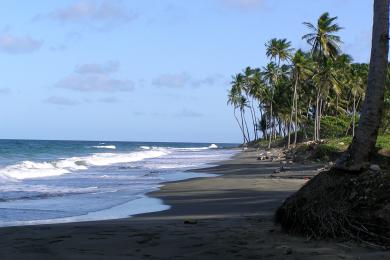 Sandee Antoine Bay