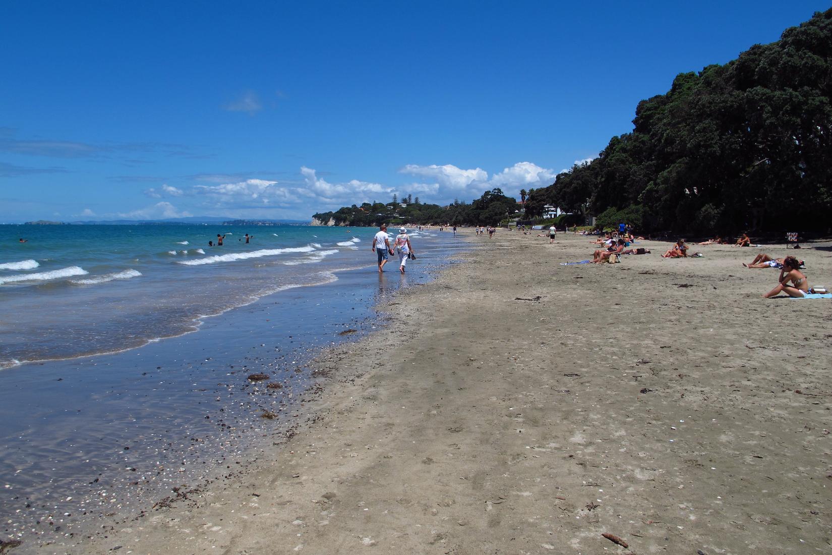 Sandee - Takapuna Beach