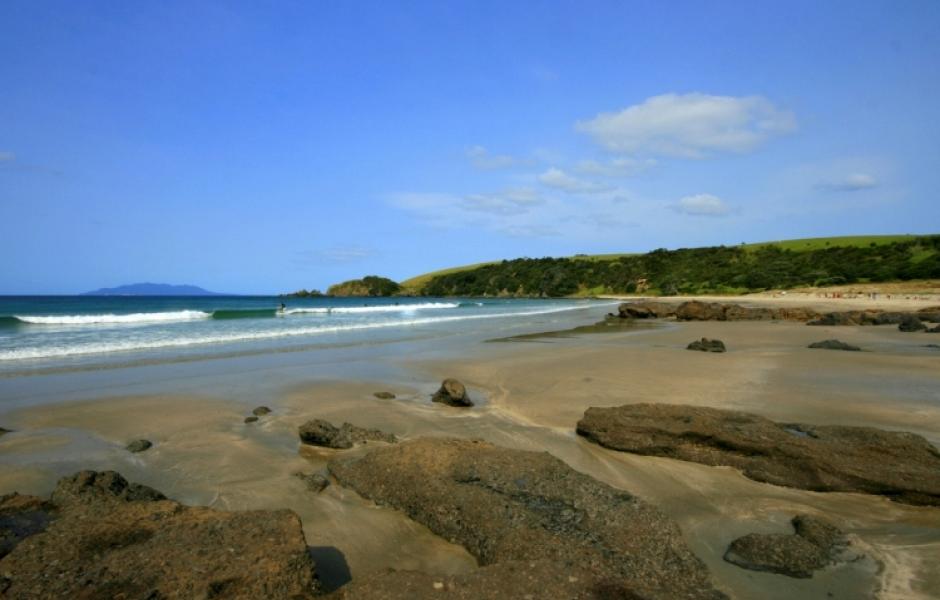 Sandee - Anchor Bay Beach