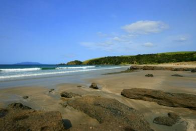 Sandee - Anchor Bay Beach