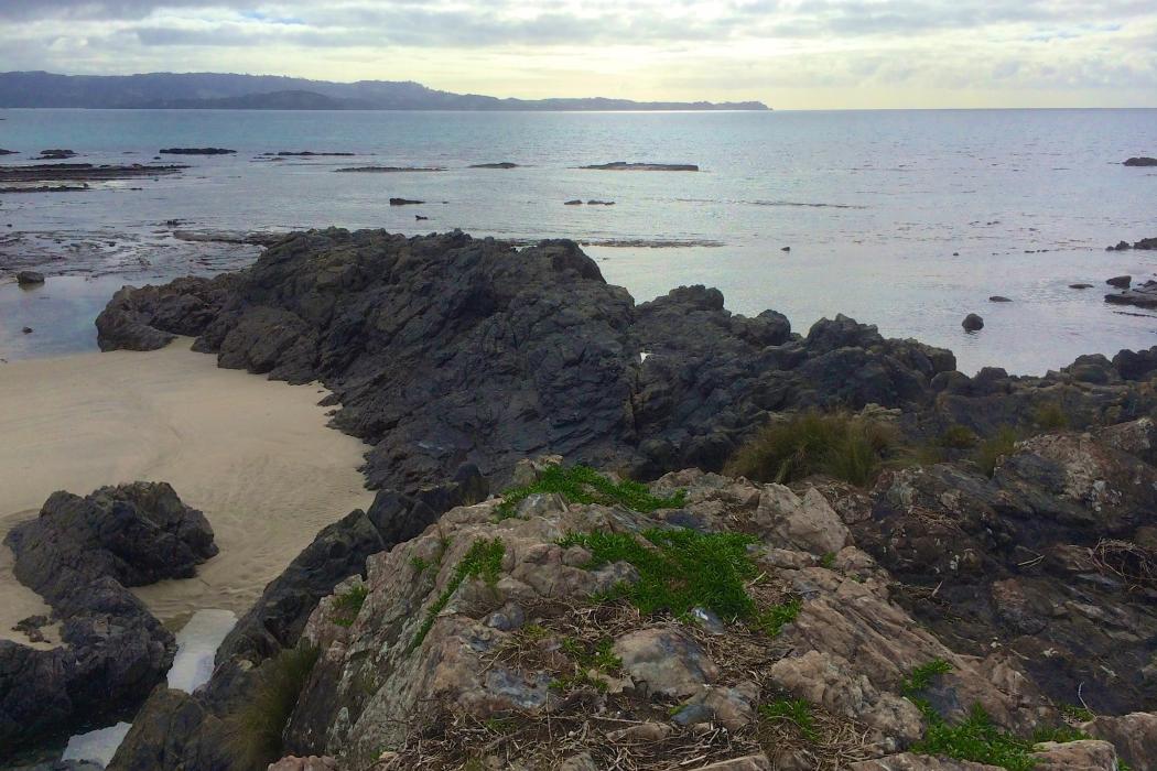 Sandee Anchor Bay Beach