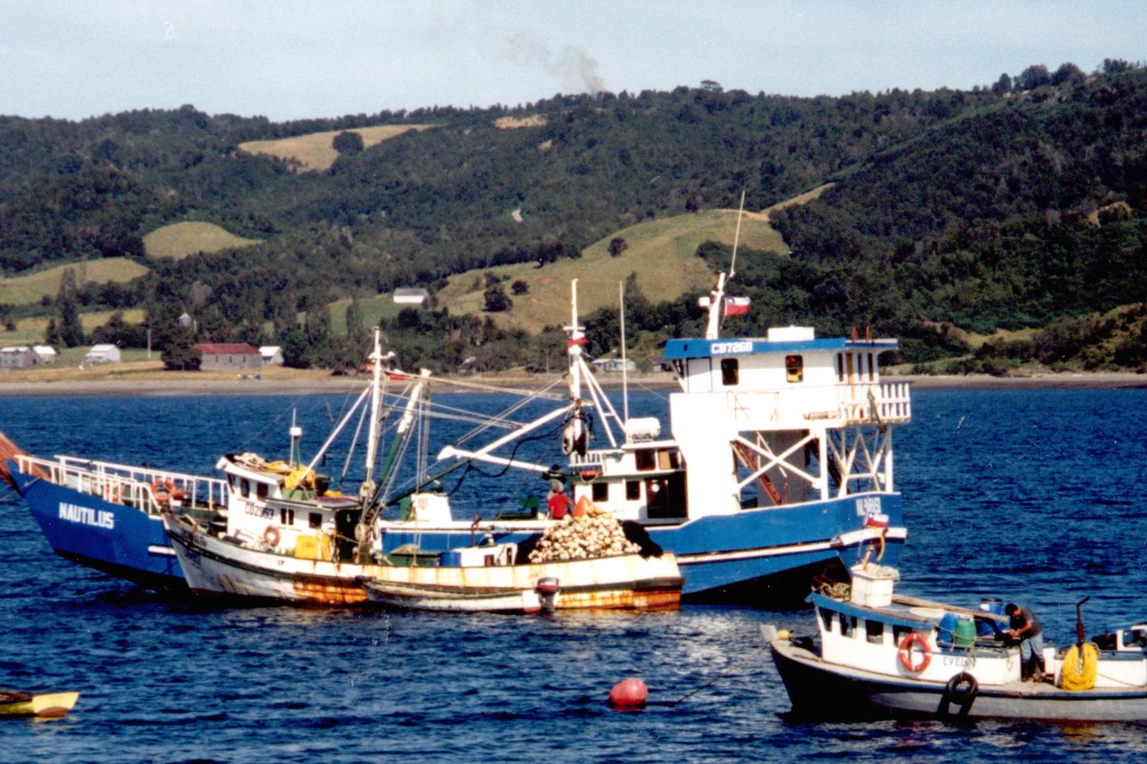 Dalcahue Photo - Sandee