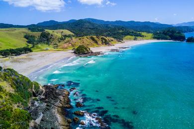 Sandee Whangapoua Beach
