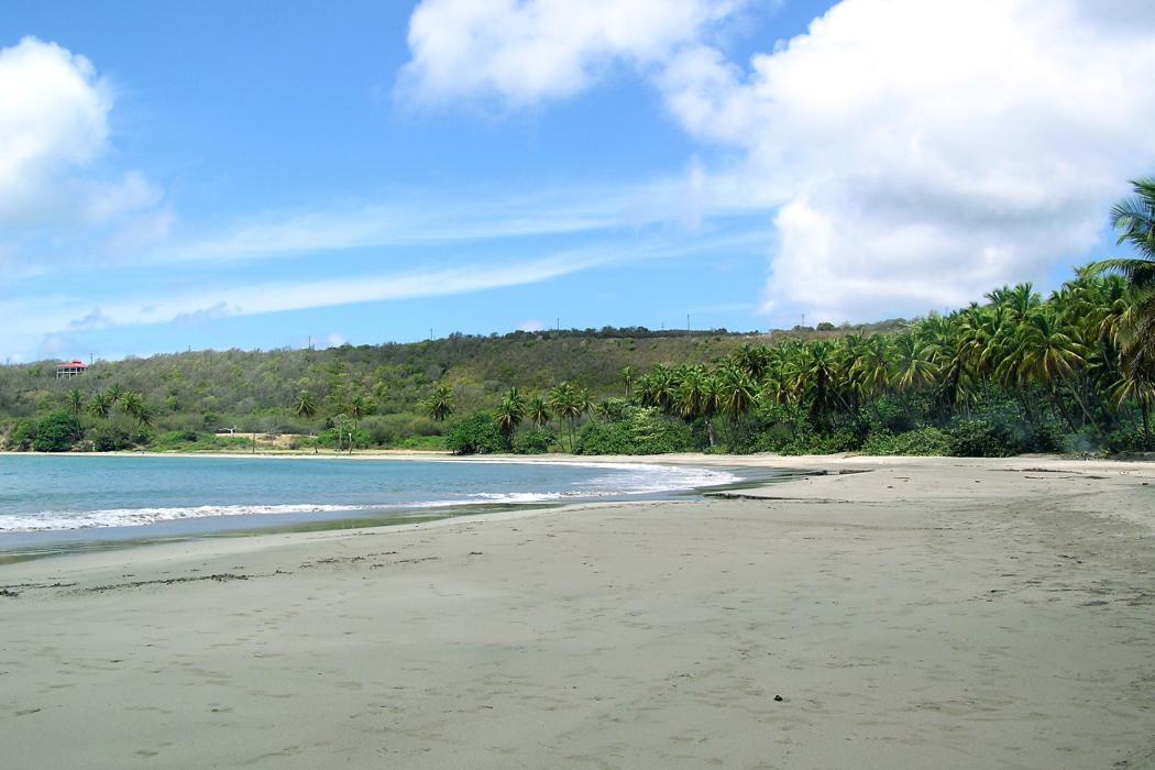Sandee La Sagesse Beach