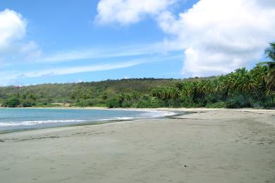 Sandee La Sagesse Beach Photo