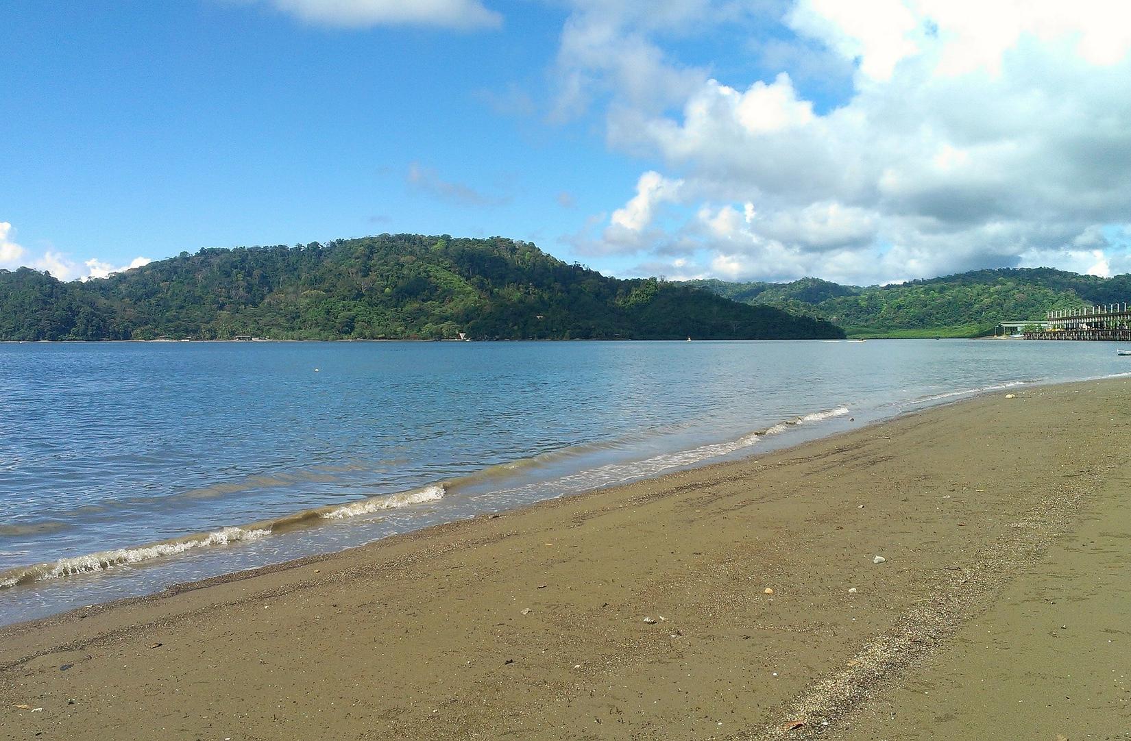 Sandee - Playa Puerto Jimenez