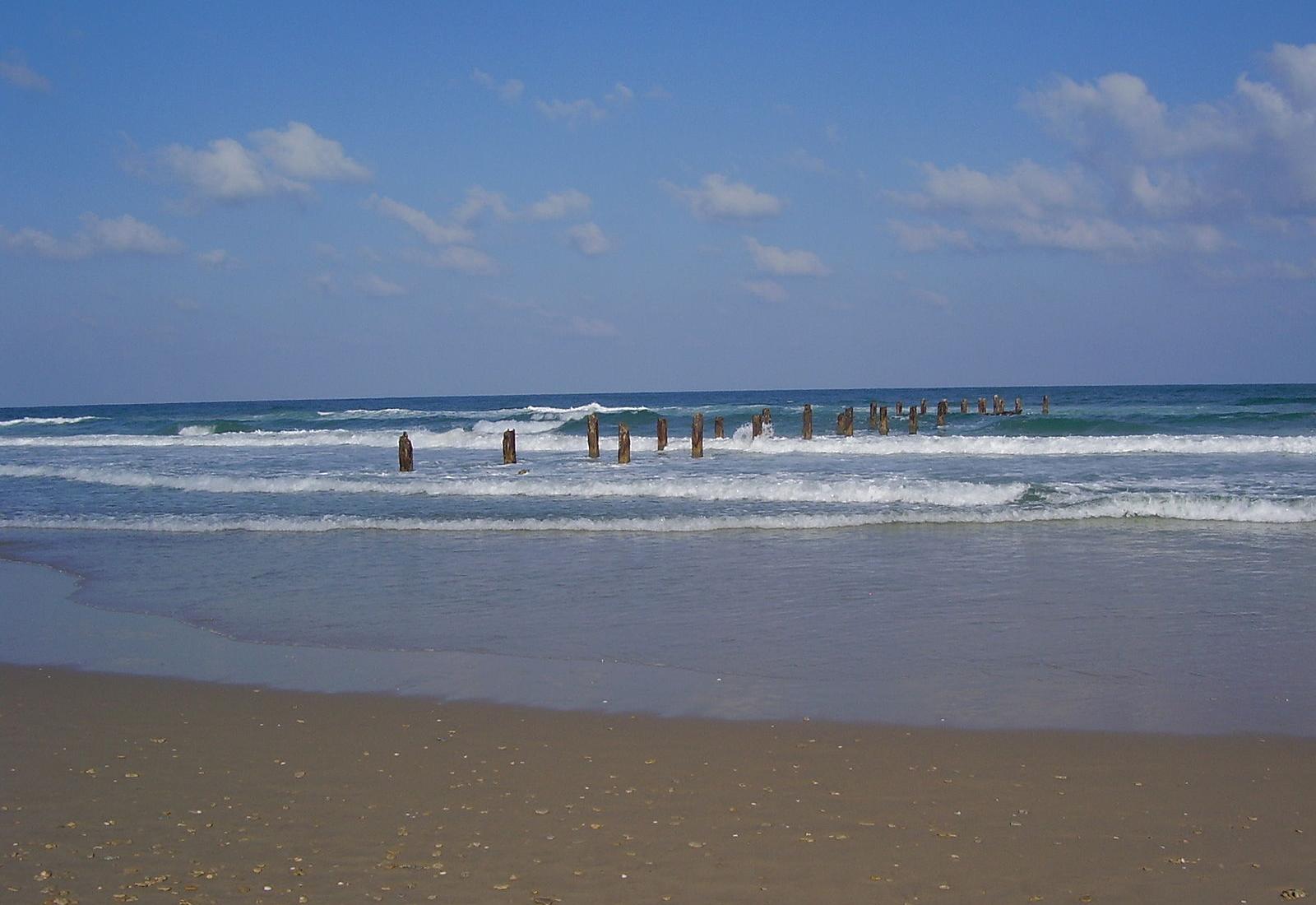 Sandee - Beit Yanai Beach