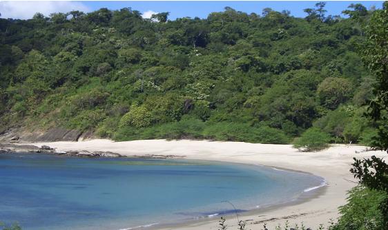 Sandee - Playa Costa Blanca