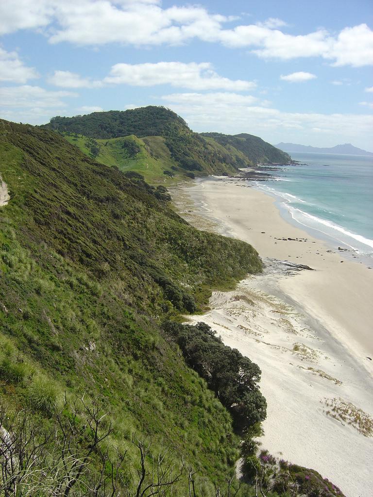 Sandee - Mangawhai Heads Beach