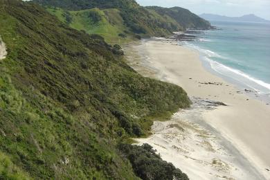 Sandee - Mangawhai Heads Beach