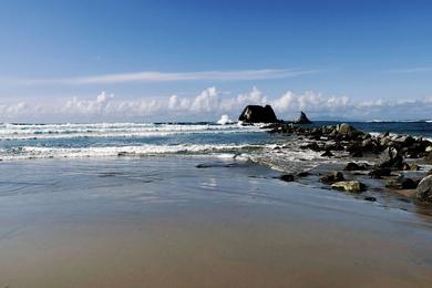 Sandee - Mangawhai Heads Beach